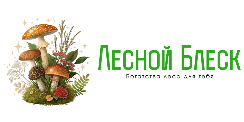 Лесной Блеск